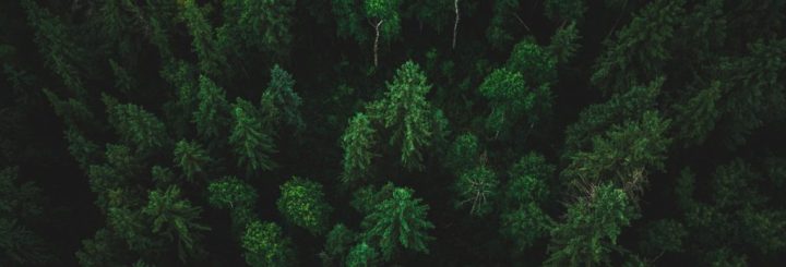 ben-den-engelsen-636031-unsplash-1024x349